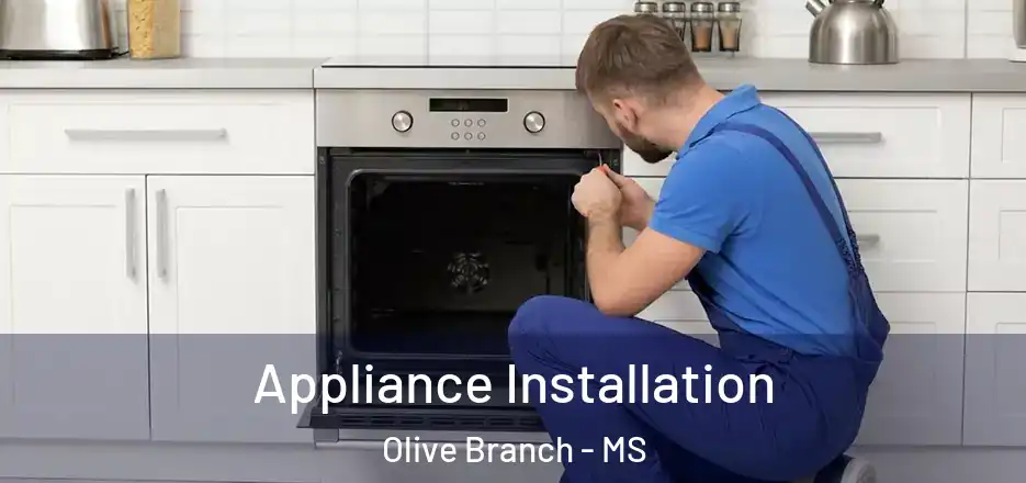 Appliance Installation Olive Branch - MS