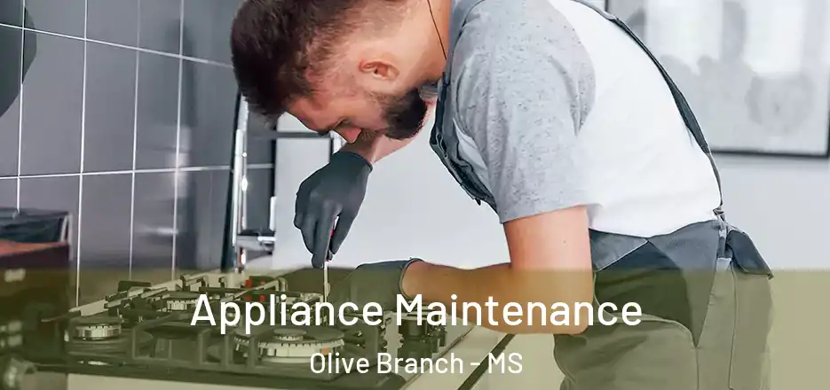 Appliance Maintenance Olive Branch - MS