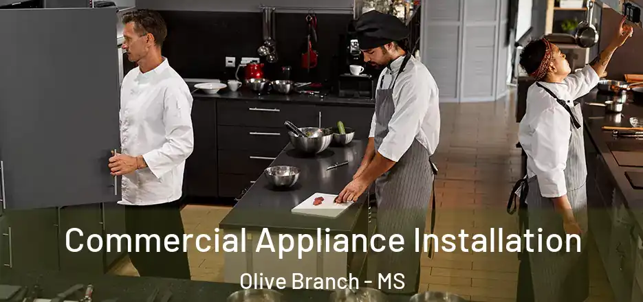 Commercial Appliance Installation Olive Branch - MS