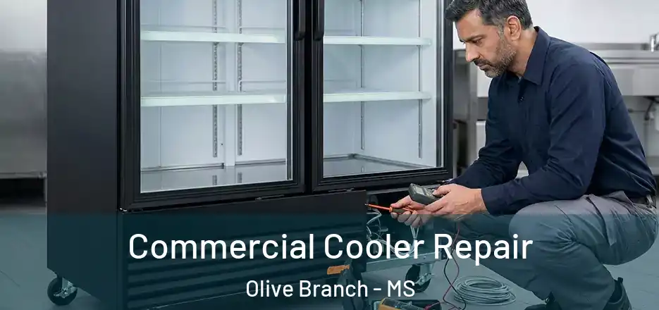 Commercial Cooler Repair Olive Branch - MS