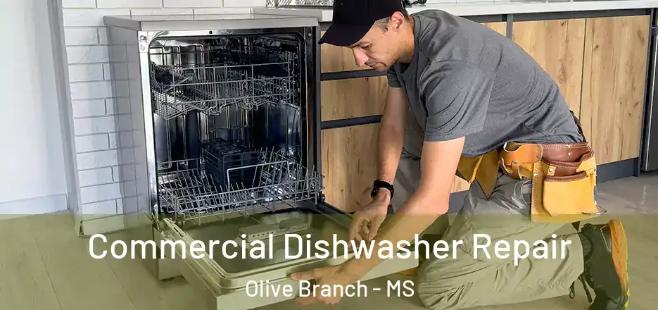 Commercial Dishwasher Repair Olive Branch - MS