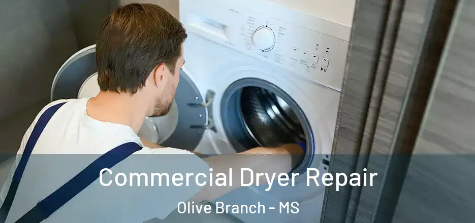 Commercial Dryer Repair Olive Branch - MS