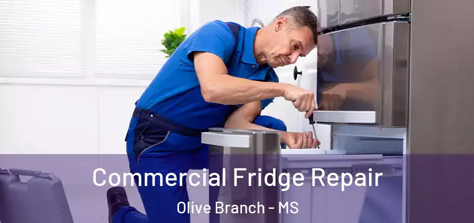 Commercial Fridge Repair Olive Branch - MS