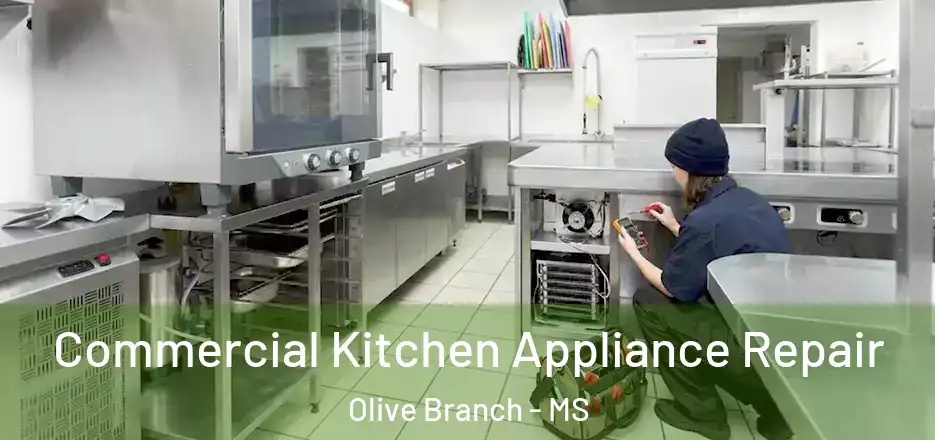 Commercial Kitchen Appliance Repair Olive Branch - MS