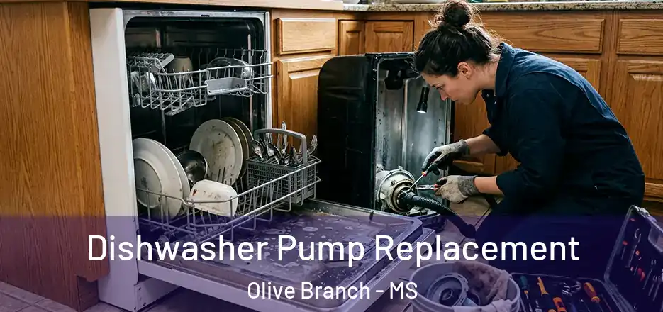 Dishwasher Pump Replacement Olive Branch - MS