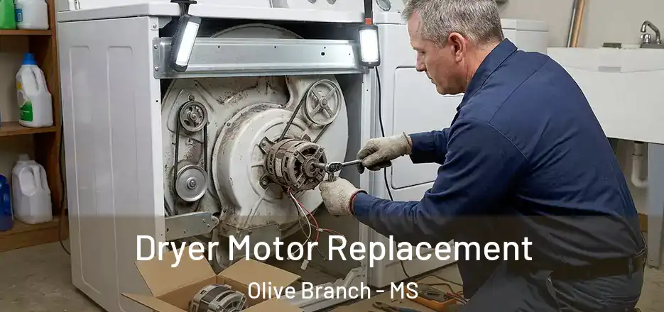 Dryer Motor Replacement Olive Branch - MS