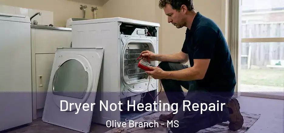 Dryer Not Heating Repair Olive Branch - MS