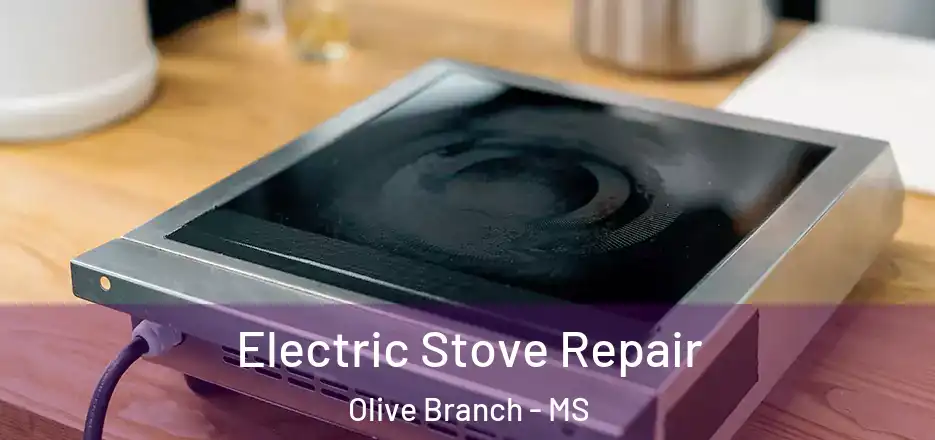 Electric Stove Repair Olive Branch - MS