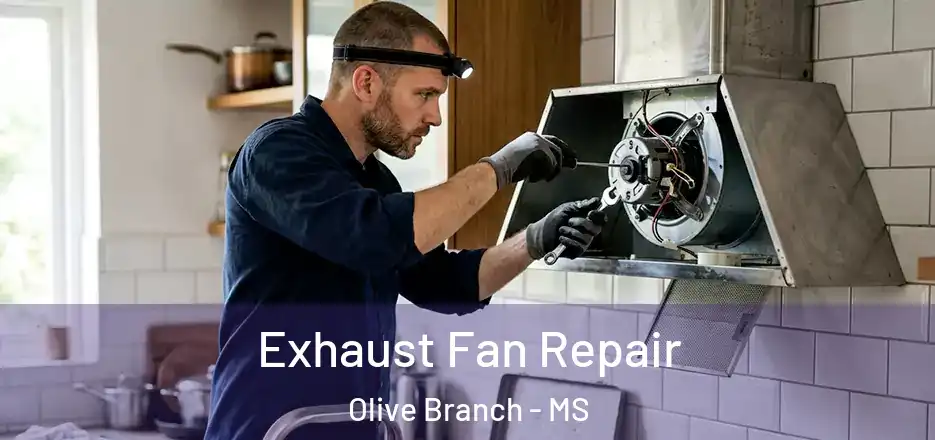 Exhaust Fan Repair Olive Branch - MS