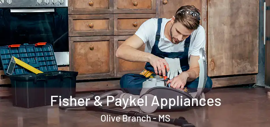 Fisher & Paykel Appliances Olive Branch - MS