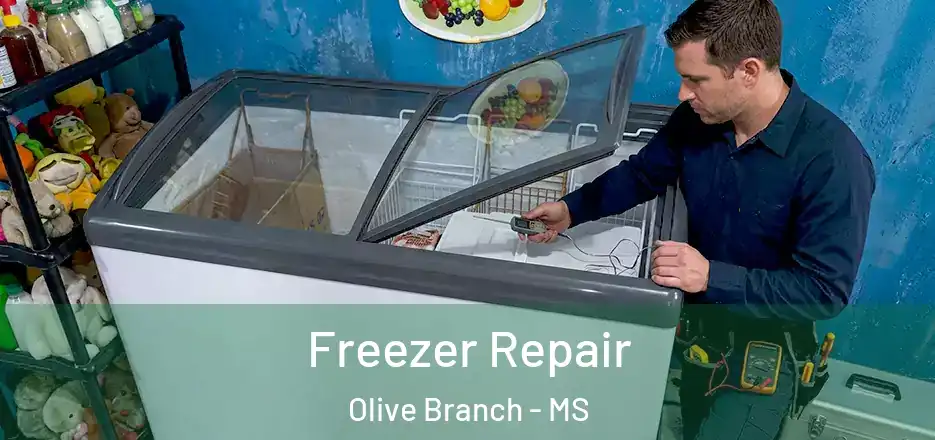 Freezer Repair Olive Branch - MS