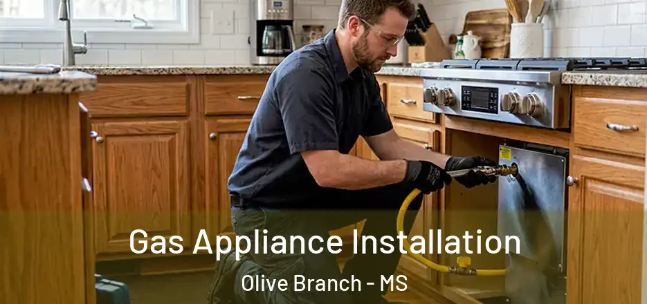 Gas Appliance Installation Olive Branch - MS
