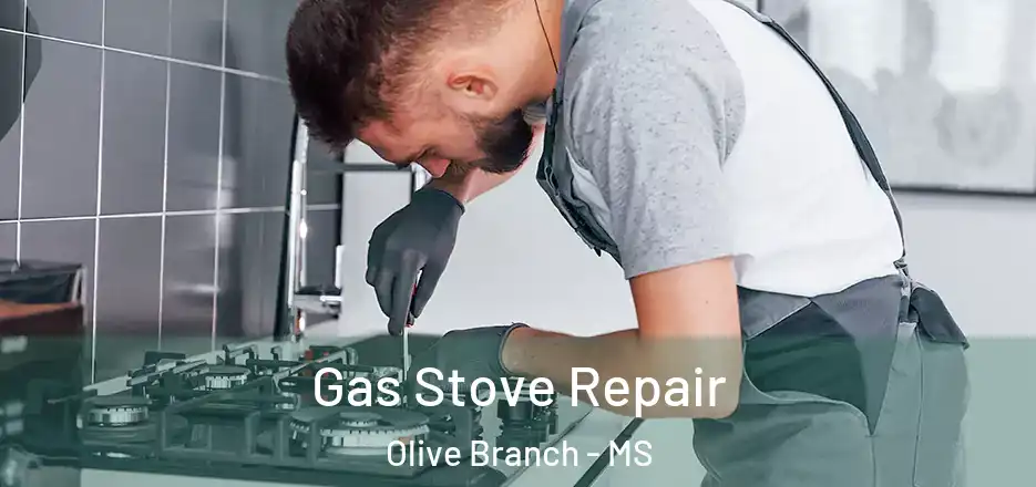 Gas Stove Repair Olive Branch - MS