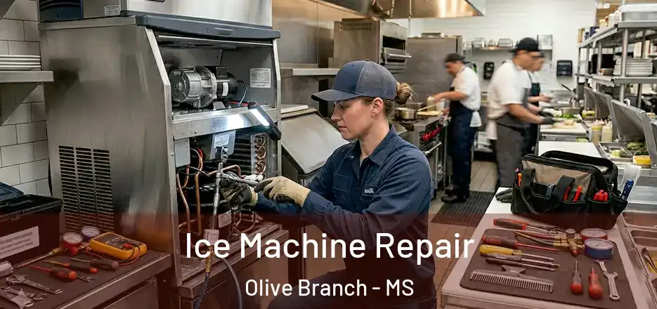  Ice Machine Repair Olive Branch - MS