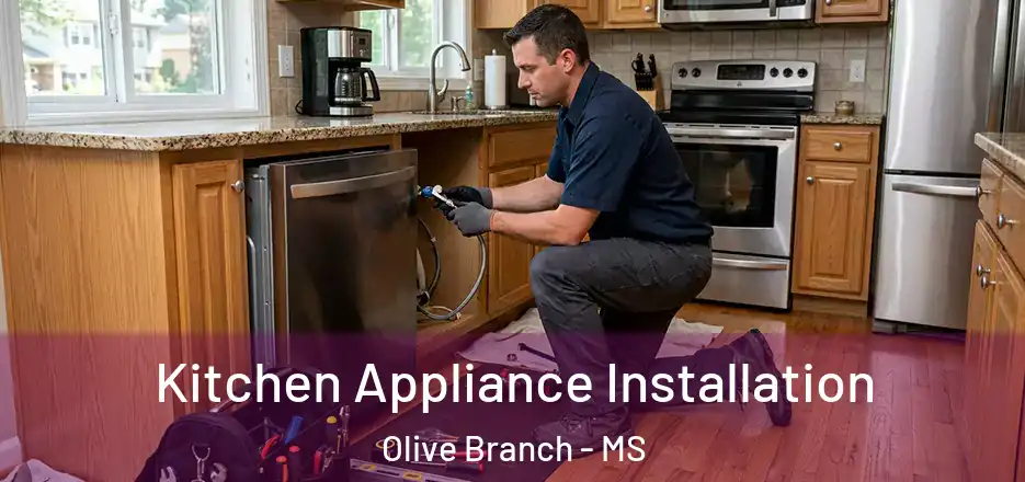 Kitchen Appliance Installation Olive Branch - MS