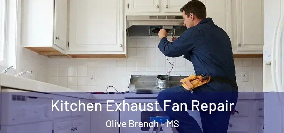 Kitchen Exhaust Fan Repair Olive Branch - MS