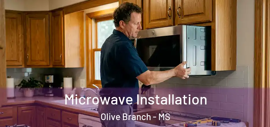 Microwave Installation Olive Branch - MS