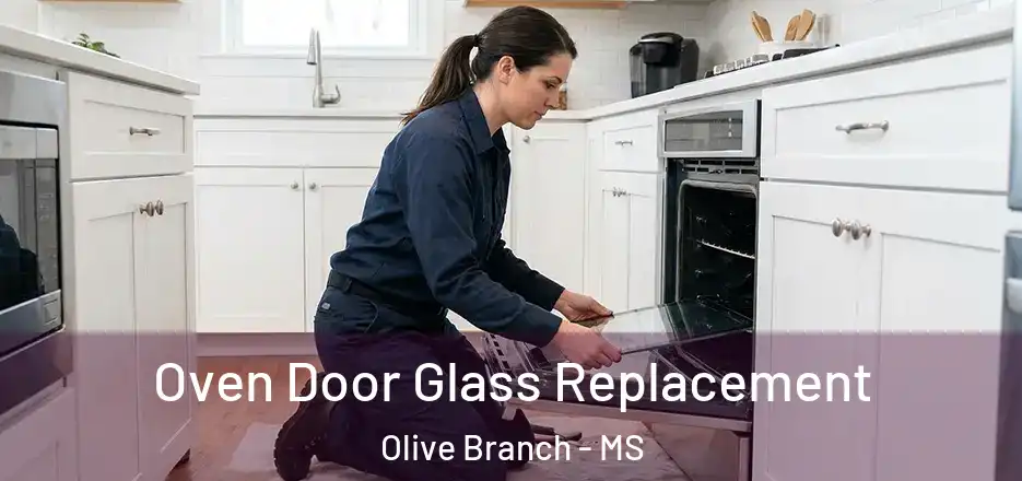 Oven Door Glass Replacement Olive Branch - MS