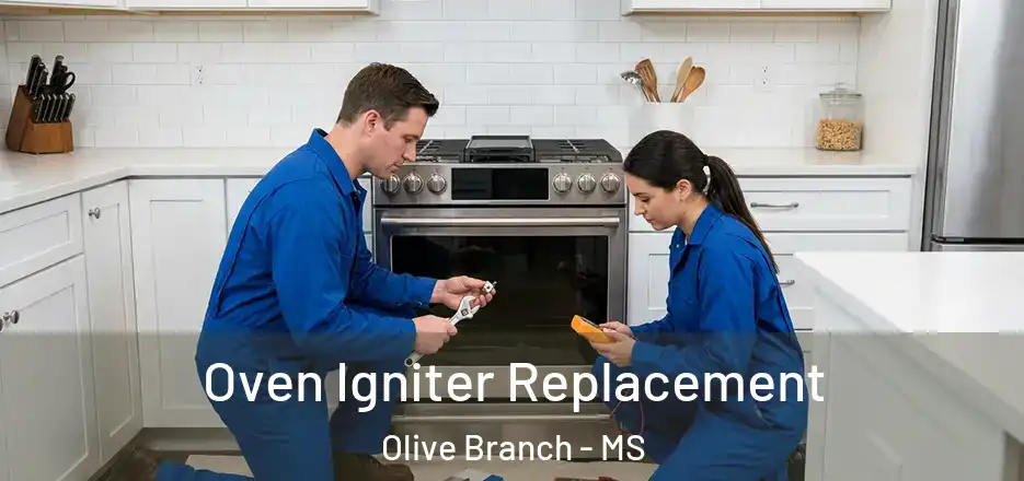 Oven Igniter Replacement Olive Branch - MS