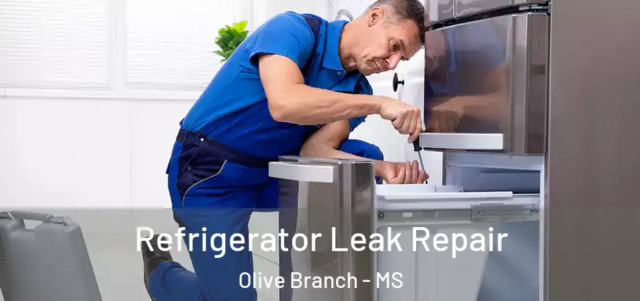 Refrigerator Leak Repair Olive Branch - MS