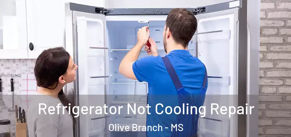 Refrigerator Not Cooling Repair Olive Branch - MS