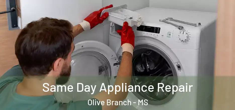 Same Day Appliance Repair Olive Branch - MS