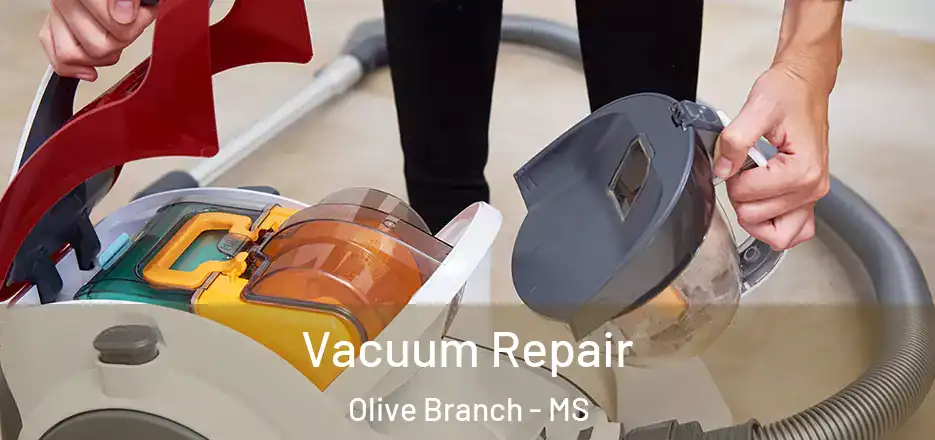 Vacuum Repair Olive Branch - MS