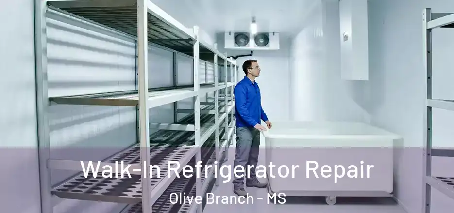 Walk-In Refrigerator Repair Olive Branch - MS