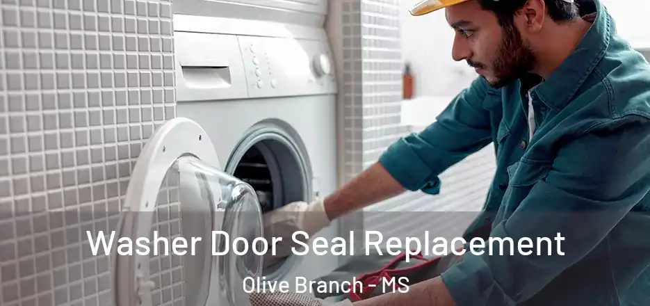  Washer Door Seal Replacement Olive Branch - MS