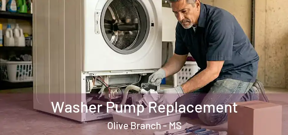 Washer Pump Replacement Olive Branch - MS