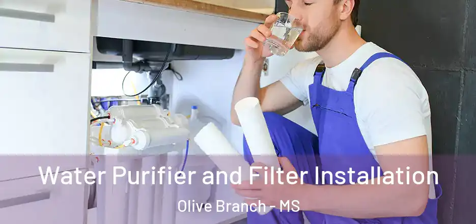 Water Purifier and Filter Installation Olive Branch - MS
