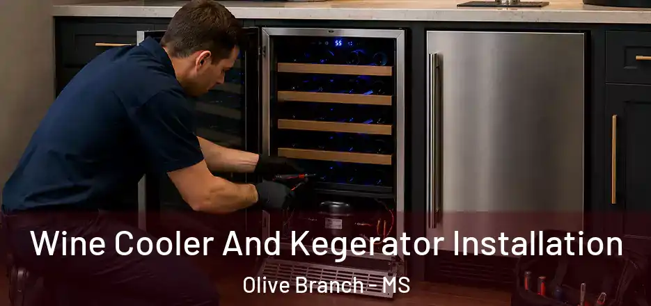 Wine Cooler And Kegerator Installation Olive Branch - MS